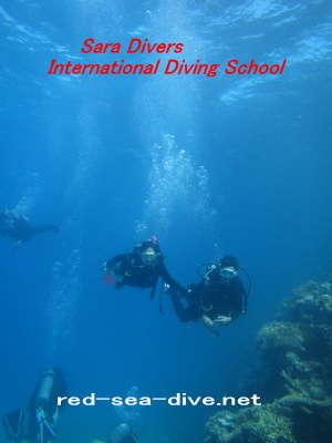 Try diving picture
