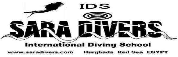 Red Sea Diving holiday in Egypt. Dive Hurghada with sara divers. the best dive in Red Sea egypt.